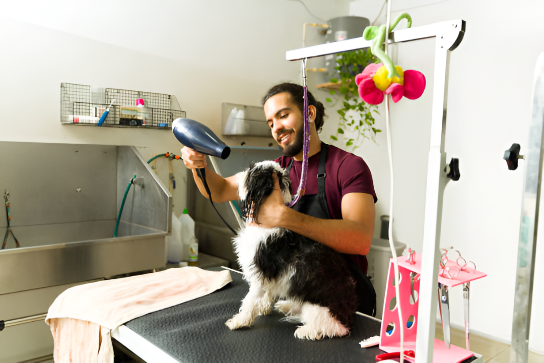 The Importance of Pet Grooming