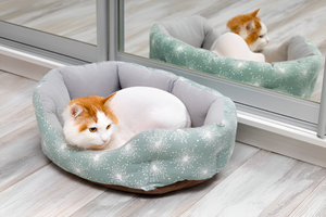 Choosing the Right Pet Bed