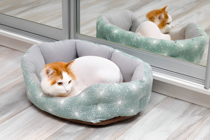 Choosing the Right Pet Bed