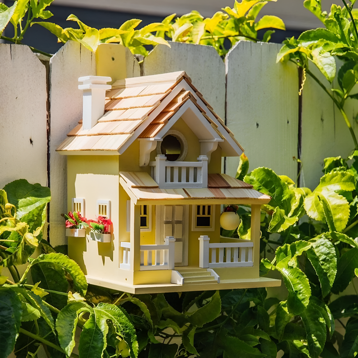 Creating Happy Homes for Birds