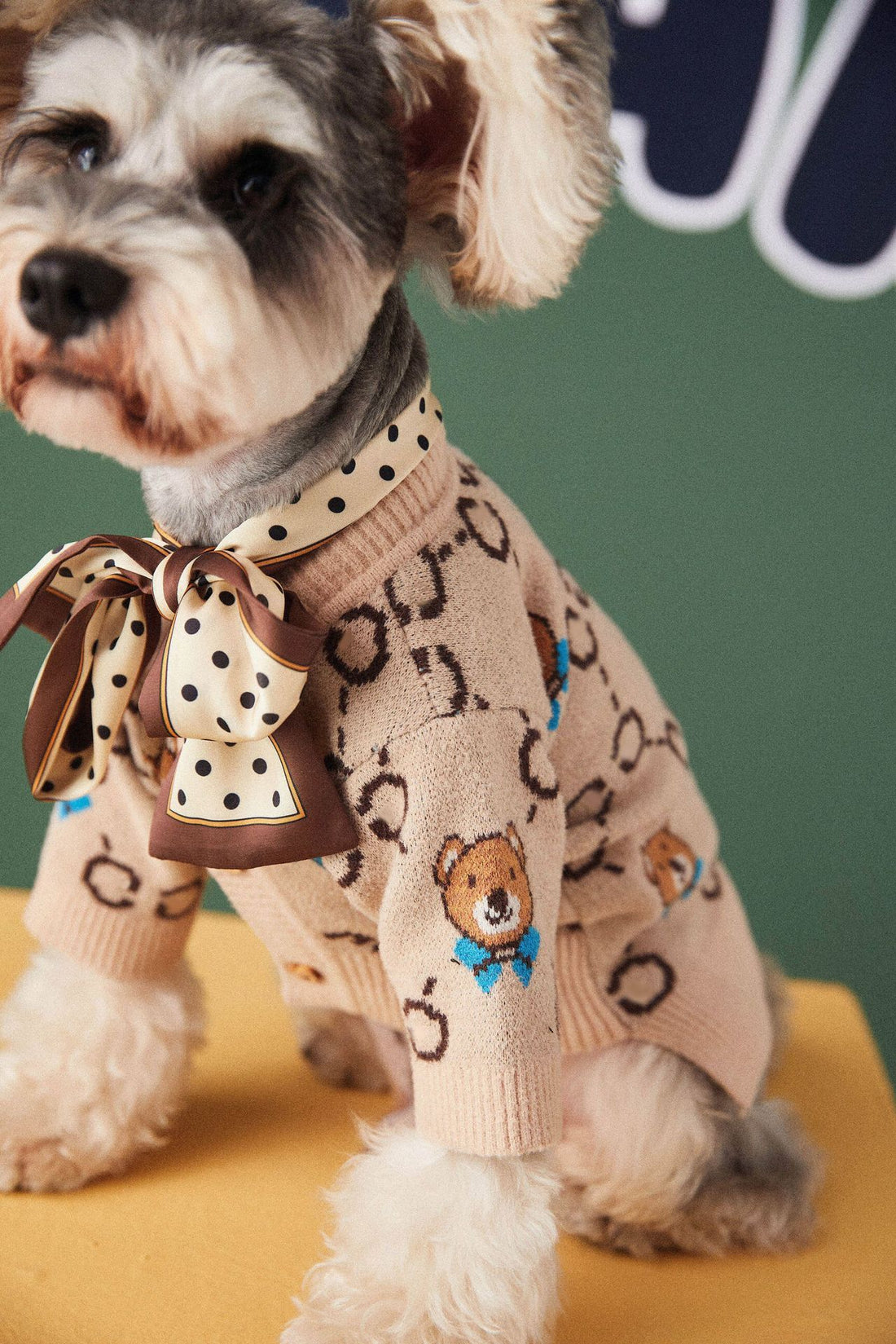 Pet Teddy Schnauzer Sweater Cardigan