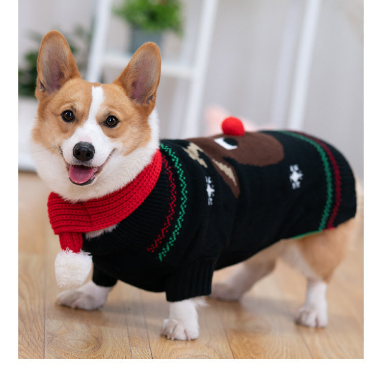 Padded Coat Pet Padded Winter Shiba