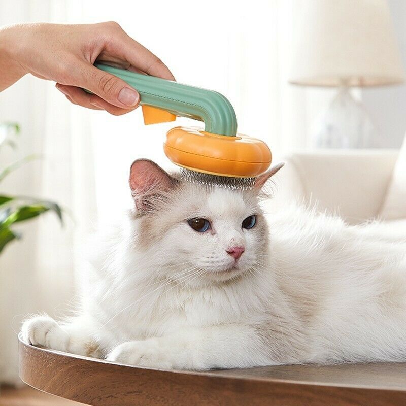 Pet Pumpkin Brush Pet Grooming Supplies