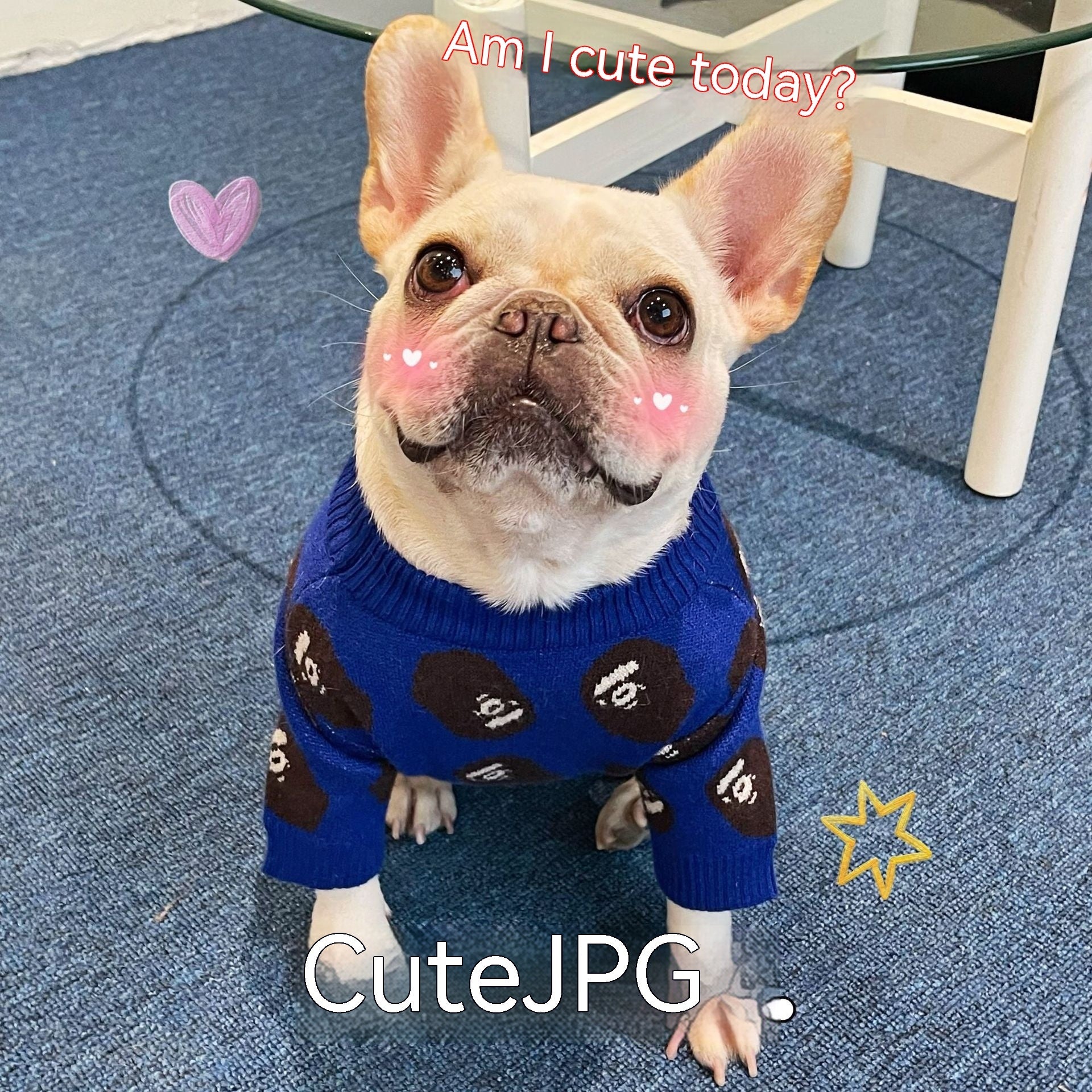 Pet Trendy Winter Sweater