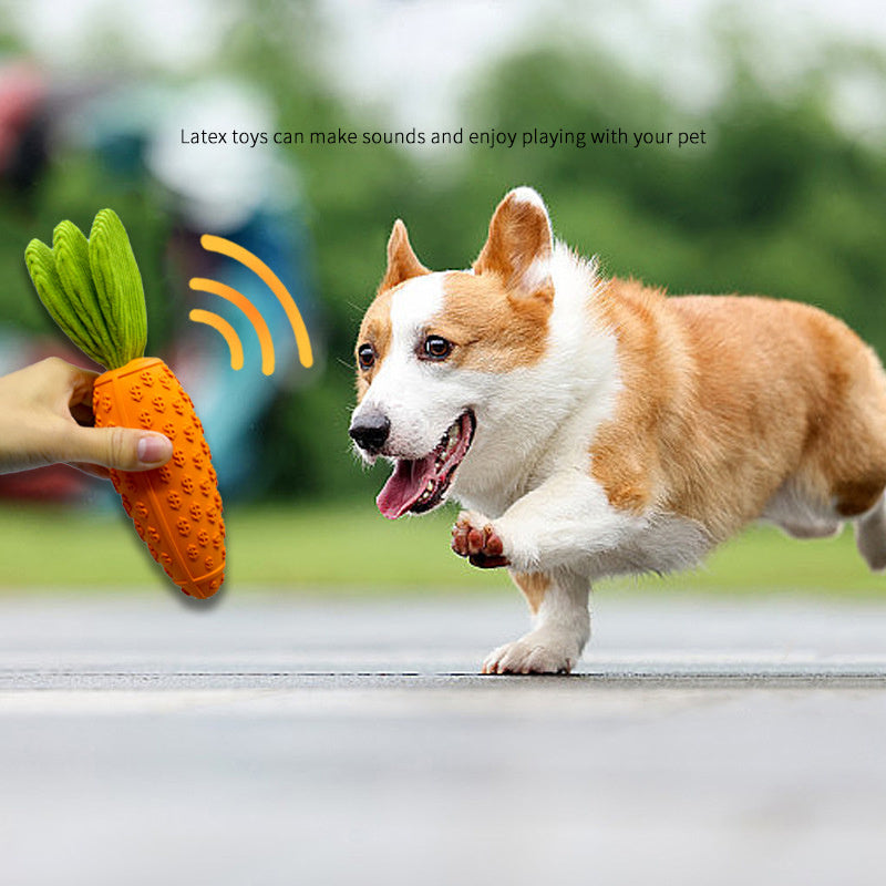 Carrot Dog Chew Toys