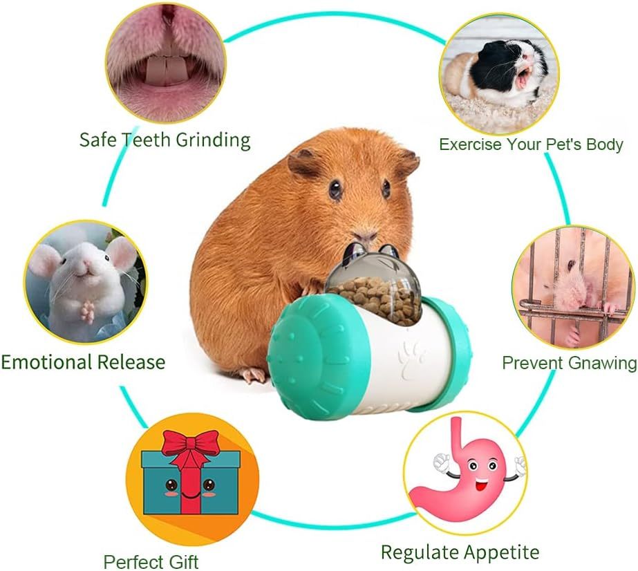 Interactive Pet Enrichment Toys