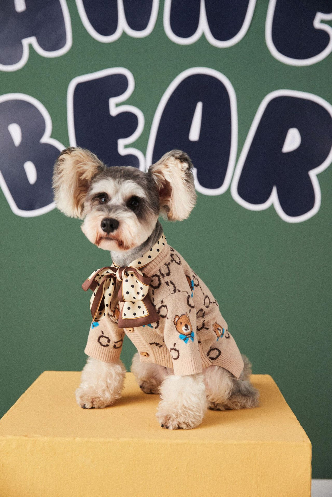 Pet Teddy Schnauzer Sweater Cardigan