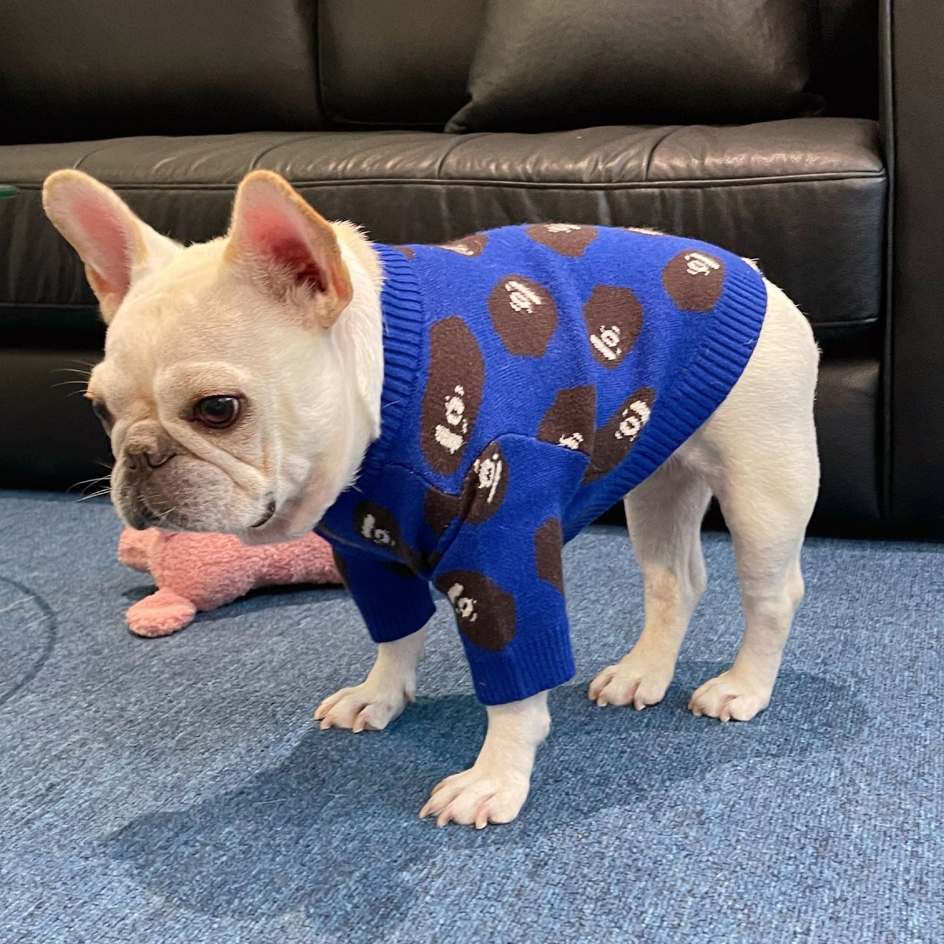 Pet Trendy Winter Sweater