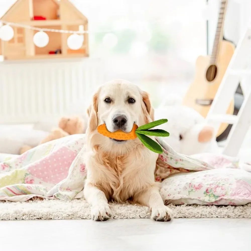 Carrot Dog Chew Toys
