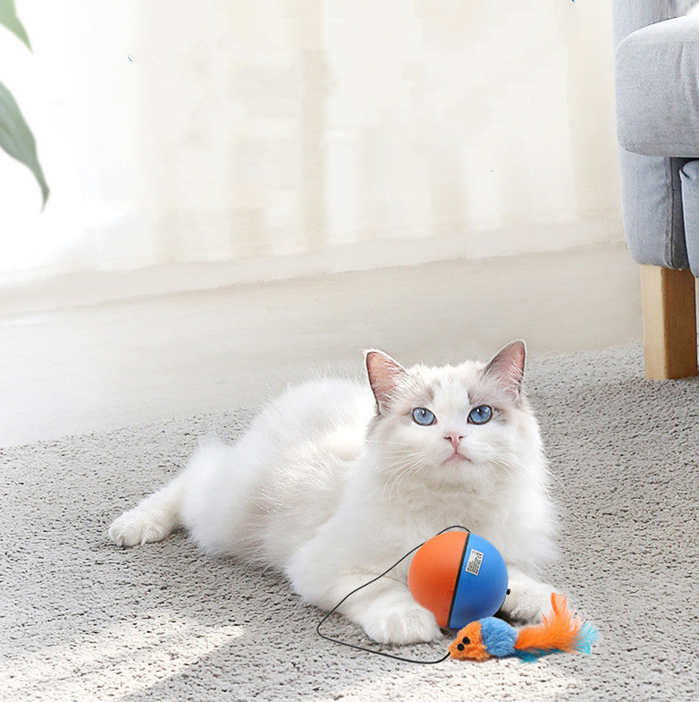 Automatic Teaser Cat Toy Ball