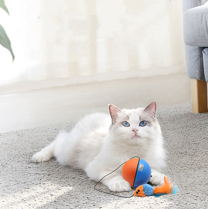 Automatic Teaser Cat Toy Ball