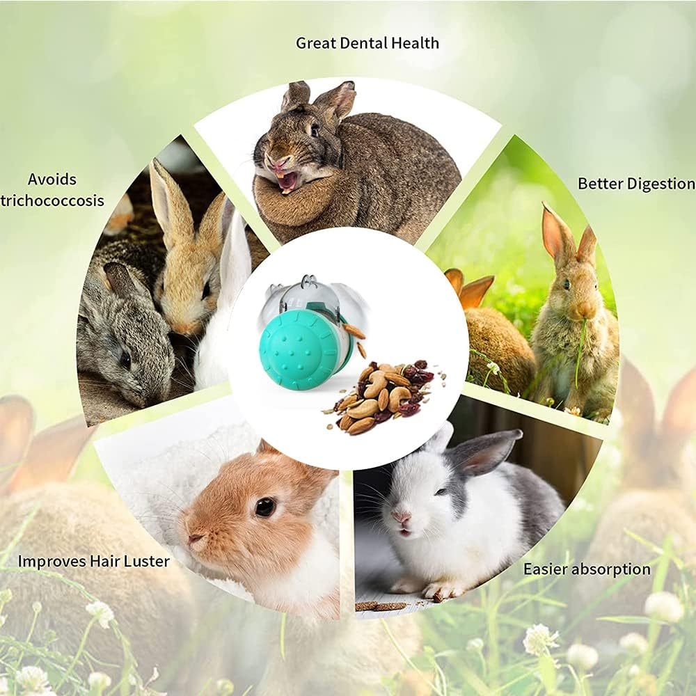 Interactive Pet Enrichment Toys