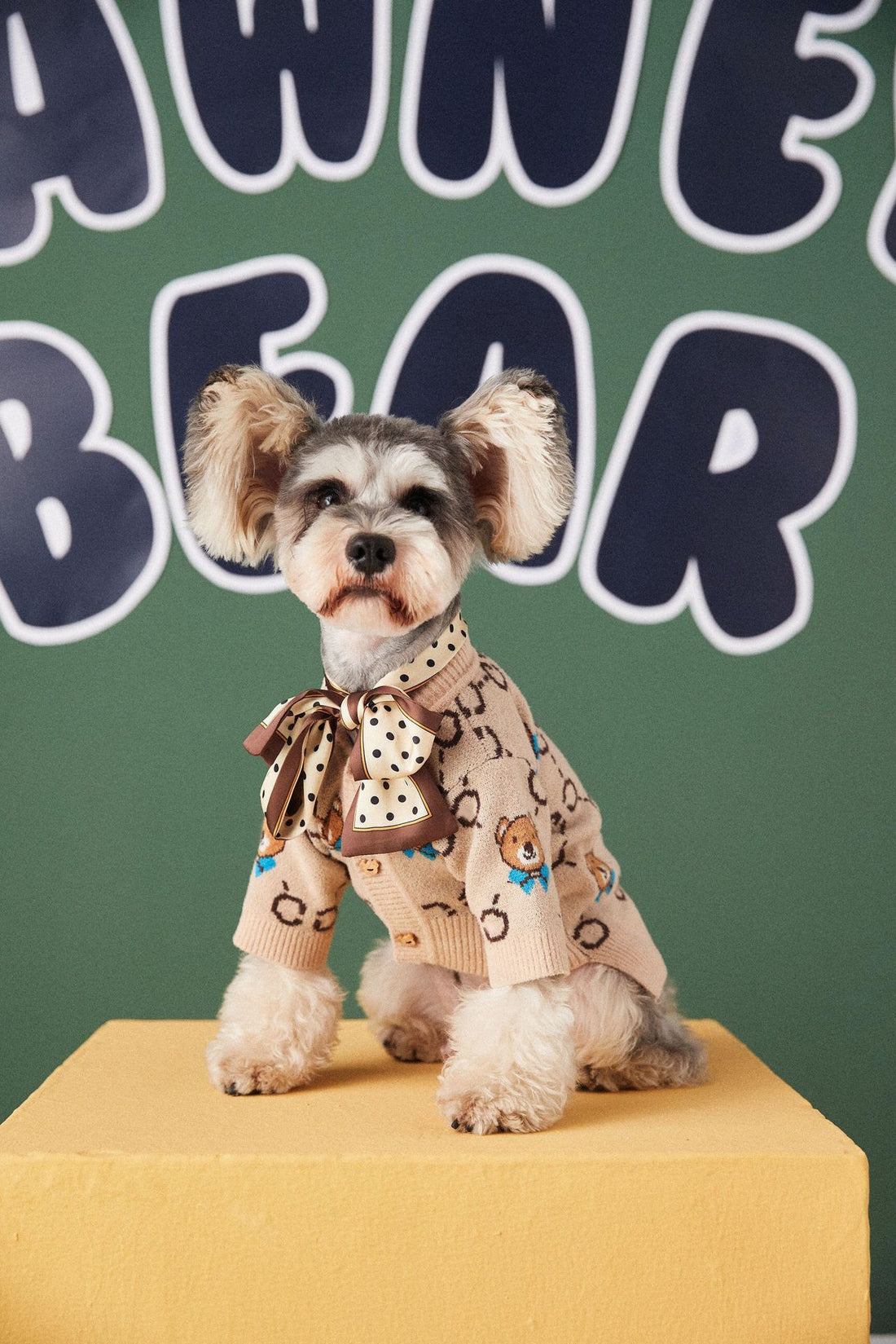 Pet Teddy Schnauzer Sweater Cardigan