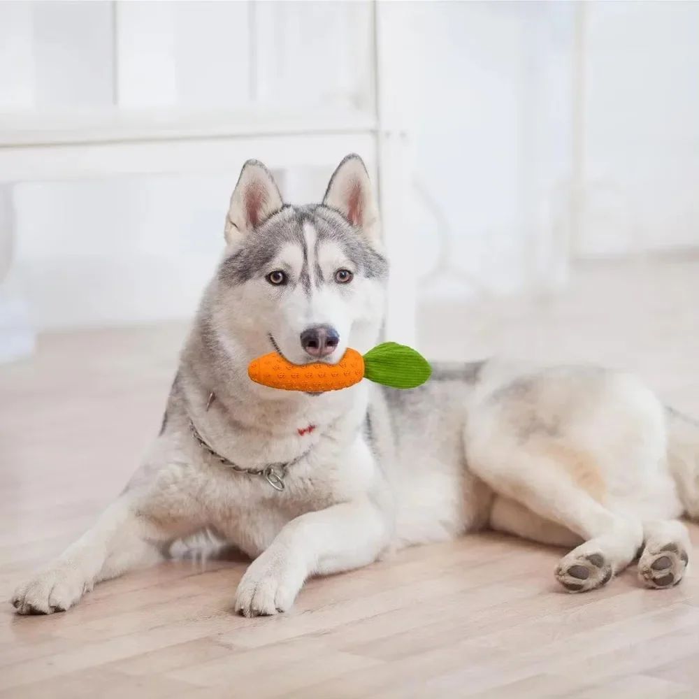 Carrot Dog Chew Toys