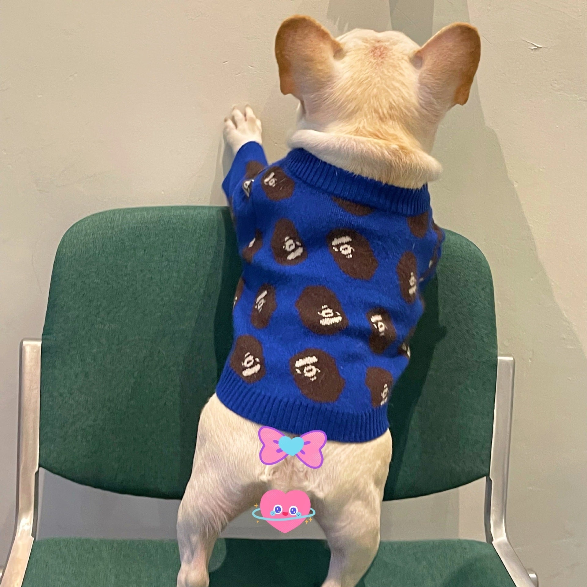 Pet Trendy Winter Sweater