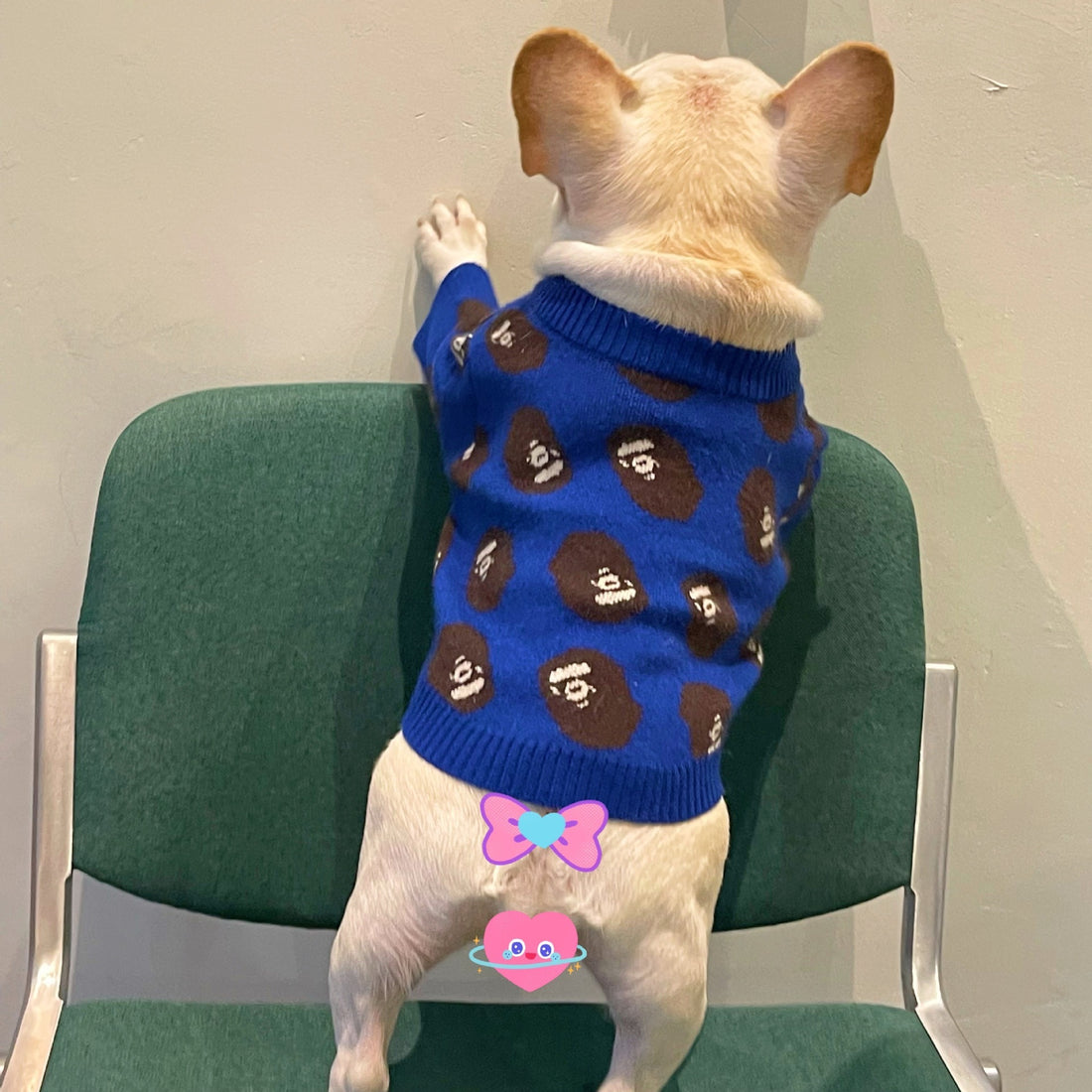 Pet Trendy Winter Sweater