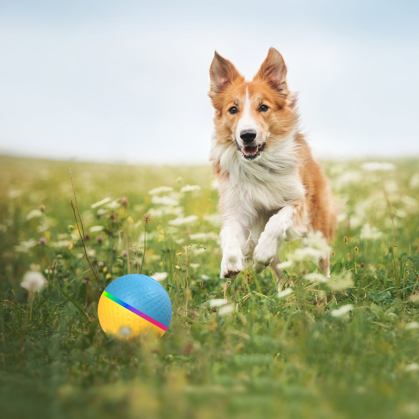 Interactive Anti-stuffy Intelligent Pet Toy Ball