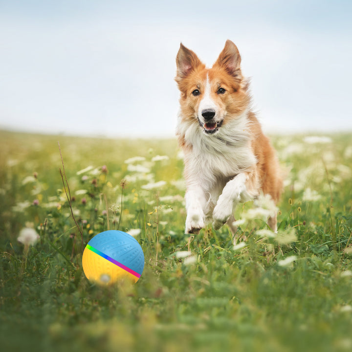 Interactive Anti-stuffy Intelligent Pet Toy Ball